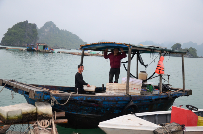 Có thuyền to nhưng không dám chạy, hai anh Lê Văn Dần, Lê Văn Dậu phải đi mủng để vận chuyển cá mồi. Ảnh: Tiến Thành.