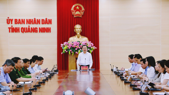 Ông Cao Tường Huy, Quyền Chủ tịch UBND tỉnh Quảng Ninh phát biểu tại phiên họp, điểm cầu Quảng Ninh.