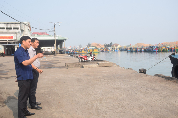 Ông Nguyễn Quang Hùng, Phó Tổng cục trưởng Tổng cục Thủy sản, kiểm tra Cảng cá Quy Nhơn (Bình Định). Ảnh: Lê Khánh.