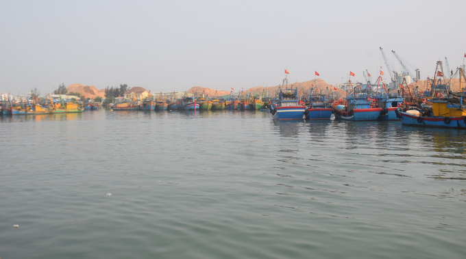 Tàu cá của ngư dân Bình Định cập bờ về Cảng cá Quy Nhơn. Ảnh: Lê Khánh.