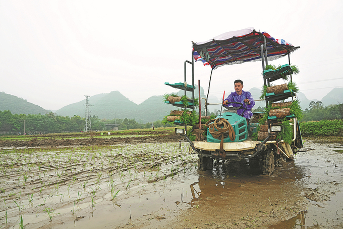 A farmer drives a rice planter in Rongshui, Guangxi Zhuang autonomous region, on Tuesday. Photo: Long Tao/For China Daily.