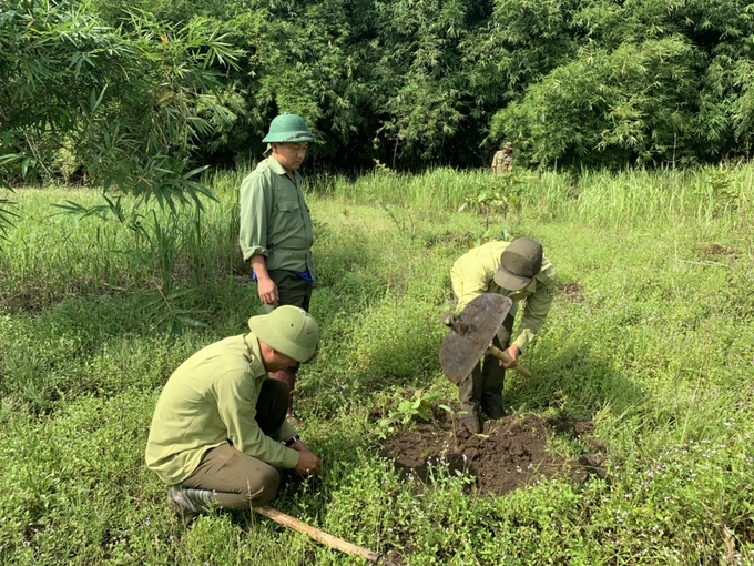 Ngoài công tác bảo vệ rừng, lưc lượng bảo vệ rừng còn nhiệm vụ quan trọng khác là trồng rừng. Trong ảnh là hoạt động trồng rừng tại VQG Tà Đùng. Ảnh: VQG Tà Đùng.