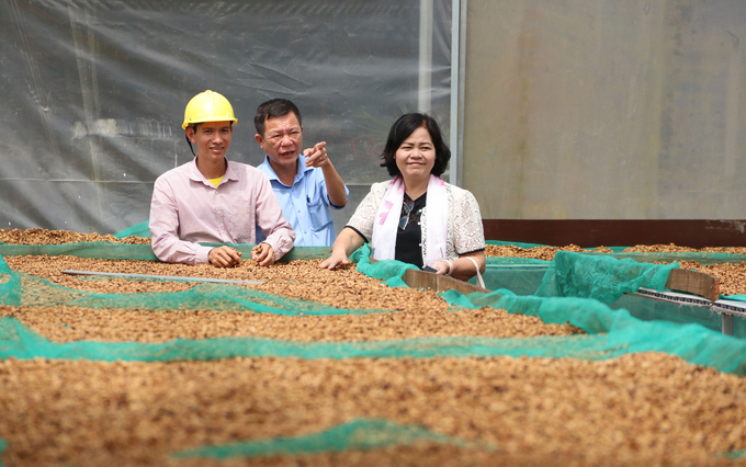 Đắk Lắk phát triển cà phê bền vững gắn với lợi ích của người dân. Ảnh: Quang Yên.