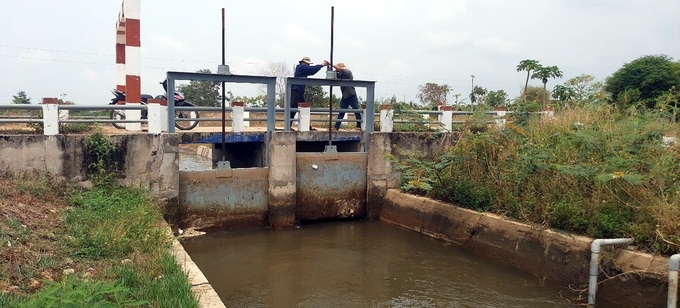 Hiện một số nơi tỉnh Bình Thuận bắt đầu cấp nước phục vụ sản xuất vụ hè thu. Ảnh: KS.