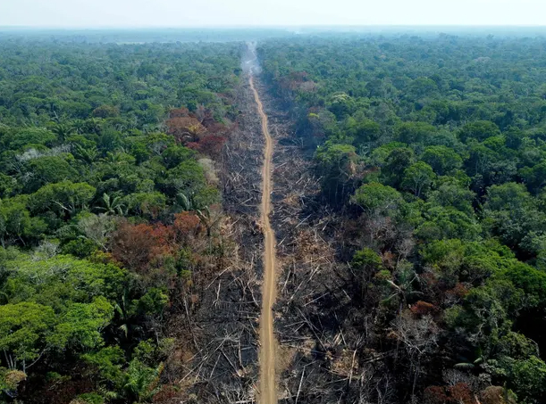 Deforestation in the Amazon rainforest in Humaitá, Amazonas State, Brazil. Photo: Michael Dantas/AFP/Getty Images.