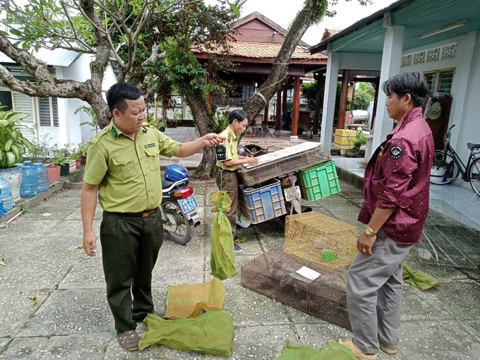 Chi cục Kiểm lâm Tây Ninh tiếp nhận động vật hoang dã. Ảnh: CKL.