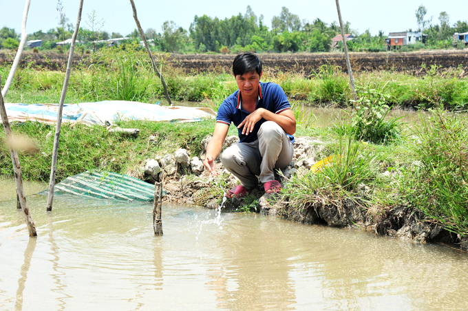 Anh Nguyễn Minh Tuấn bên cánh đồng làm mô hình lúa - cá - vịt theo hướng hữu cơ, tuần hoàn. Ảnh: Lê Hoàng Vũ.