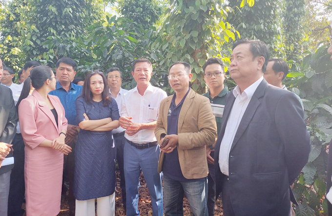 Bộ trưởng Bộ NN-PTNT Lê Minh Hoan tham quan mô hình cà phê cảnh quan tại xã Ea Tân, huyện Krông Năng, tỉnh Đắk Lắk. Ảnh: Quang Yên.
