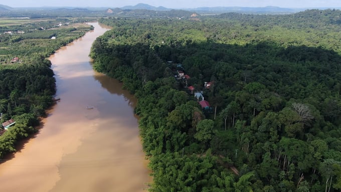 Được bao bọc bởi sông Đồng Nai, khung cảnh thiên nhiên Cát Tiên rất hữu tình, hệ thống động, thực vật đa dạng bật nhất Việt Nam. Ảnh: Trần Trung.