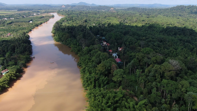 Surrounded by the Dong Nai River, the natural scenery of Cat Tien is very charming, the most diverse flora and fauna system in Vietnam. Photo: Tran Trung.