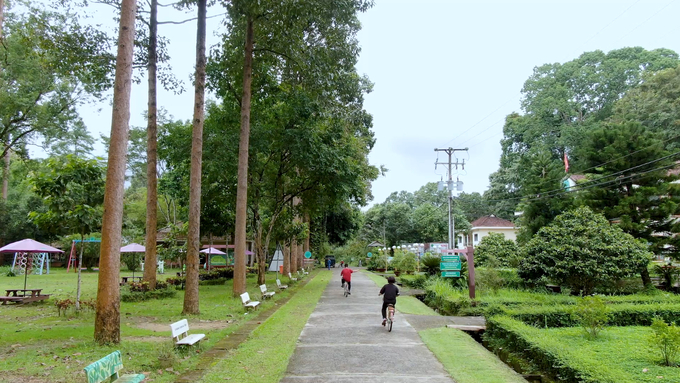 After the Covid-19 pandemic, tourists began to return to Cat Tien National Park to experience. Photo: Tran Trung.