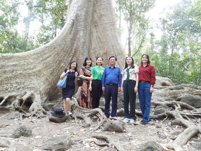 Cat Tien National Park also has a giant tree, a mausoleum for more than 300 years, and dozens of other unique tourist attractions. Photo: Tran Trung.