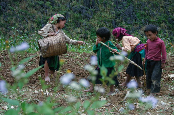 Bình đẳng giới trong an ninh lương thực phải bằng hành động cụ thể. Ảnh: Trung Quân.