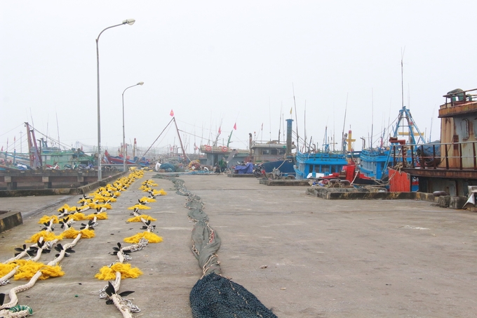 Nam Định có 2 cảng cá được công bố mở cảng. Ảnh: Mai Chiến.