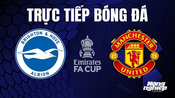 Trực tiếp bóng đá Cúp FA 2022/23 giữa Brighton vs Man United hôm nay 23/4