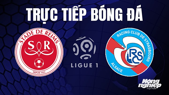 Trực tiếp bóng đá Ligue 1 (VĐQG Pháp) 2022/23 giữa Reims vs Strasbourg hôm nay 23/4/2023