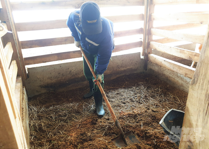 Việc chăn nuôi hươu trên đệm lót sinh học đã tiết kiệm thời gian vệ sinh chuồng trại, hạn chế mùi hôi và hạn chế dịch bệnh trên vật nuôi, nhất là các bệnh về đường ruột. Ảnh: Thanh Nga.