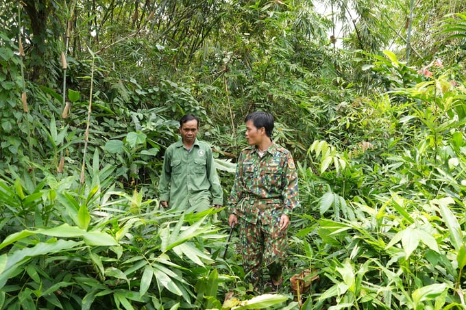 Anh Điểu Như (trái), người dân nhận khoán chăm sóc, bảo vệ rừng cùng anh Lê Duy Thắng đang trao đổi về công tác bảo vệ rừng. Ảnh: Phúc Lập.