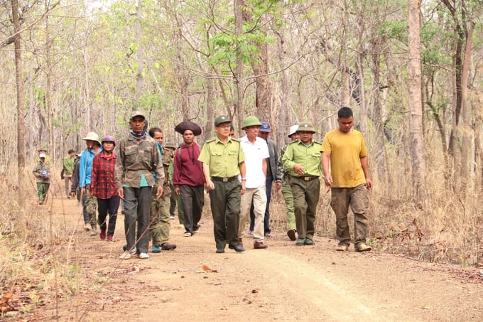 A forest patrol in Yok Don. Photo: Dang Lam.