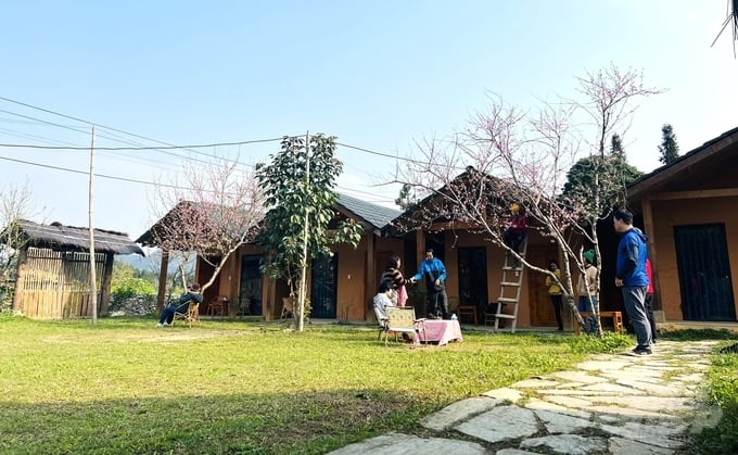 Du khách đến tham quan trải nghiệm tại khu bungalow của gia đình ông Lý Quốc Thắng. Ảnh: Đào Thanh.