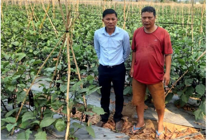 Anh Nguyễn Đức Dũng (phải) và cán bộ Trạm Khuyến nông Ninh Sơn - Bác Ái thăm vườn cà tím. Ảnh: Hoàng Sơn.