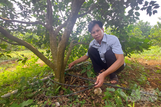 Nhiều nông dân tại Cam Thành đã ứng dụng khoa học kỹ thuật trong canh tác nông nghiệp. Ảnh: Võ Dũng.