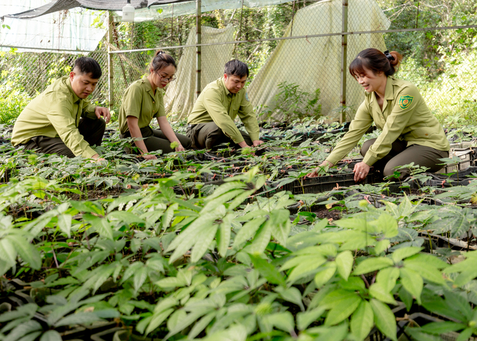 Research on plant varieties in Hoang Lien National Park. Photo: Hoang Anh.