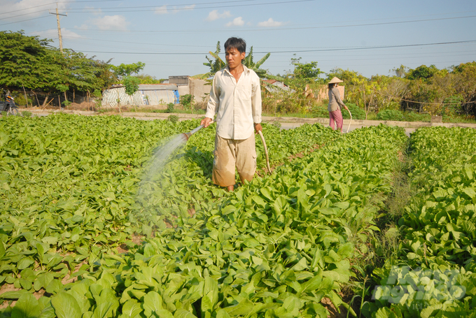 Đây là dự án phát triển nông nghiệp hữu cơ nhằm giáo dục khởi nghiệp trong trường học, hướng nghiệp cho nông dân, HTX. Ảnh: Lê Hoàng Vũ.