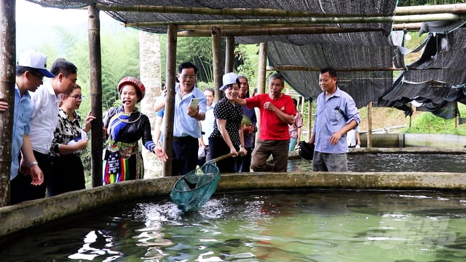 Du khách đến trải nghiệm mô hình nuôi cá tầm, cá hồi ở thôn Phiêng Phàng. Ảnh: Ngọc Tú. 