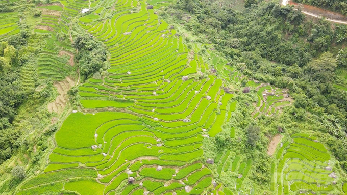 Những thửa ruộng bậc thang đẹp như trong tranh là điều kiện tốt để phát triển du lịch. Ảnh: Ngọc Tú.