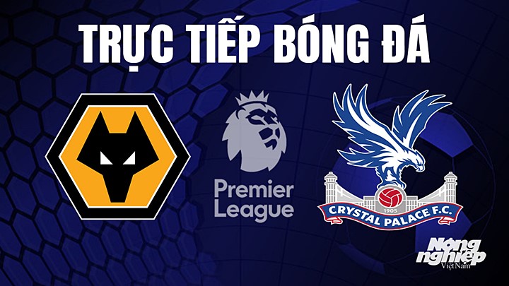 Trực tiếp bóng đá Ngoại hạng Anh giữa Wolves vs Crystal Palace ngày 26/4/2023