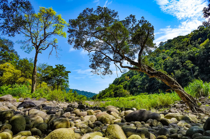The beauty of the scenery in Vu Quang is straight out of a fairy tale. Photo: Vu Quang National Park.