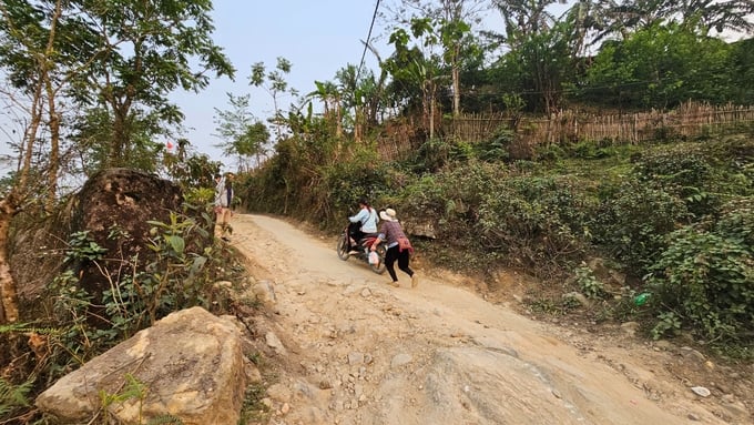 Road to Hoang Lien forest. Photo: Hoang Anh.