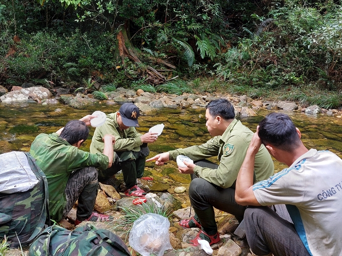 Bữa ăn vội vàng bên suối của đội ngũ Kiểm lâm và Đội bảo vệ rừng. Ảnh: Vườn Quốc gia Vũ Quang.
