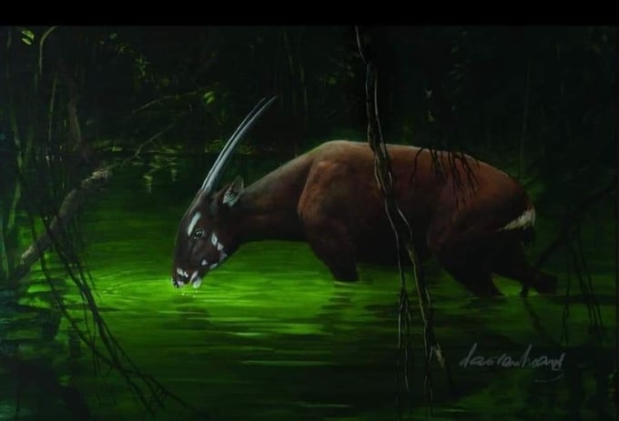 Famous painting of saola by artist Dao Van Hoang. Initially, scientists called this species Vu Quang Ox.
