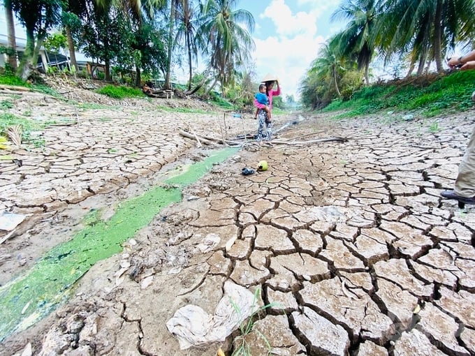 Đối với vùng ven biển, mùa khô năm 2023 ở ĐBSCL sắp kết thúc nên rủi ro hạn mặn đã qua. Ảnh: Lê Hoàng Vũ.