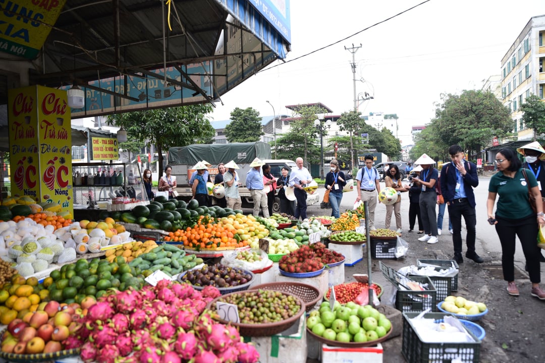 Đây là mô hình chợ truyền thống, cung cấp các loại thực phẩm, nhu yếu phẩm cần thiết cho người dân trên địa bàn huyện và khu vực nội thành Hà Nội.