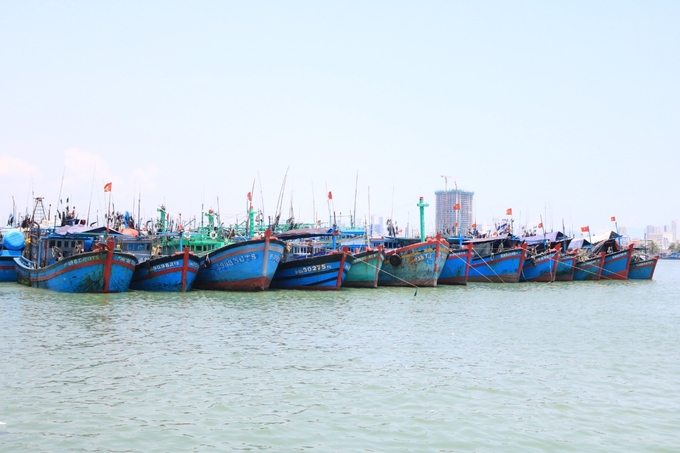 Đội tàu khai thác xa bờ neo đậu trước cảng cá Hòn Rớ, TP Nha Trang (Khánh Hòa). Ảnh: Kim Sơ.