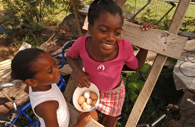 Consumption of milk, eggs, meat varies widely around the world. Photo: FAO/Giuseppe Bizzarri