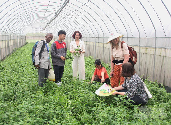 Một trong những địa chỉ ấn tượng với đại biểu ngành nông nghiệp thế giới là chuỗi sản xuất, chế biến và cung ứng thực phẩm an toàn, đảm bảo dinh dưỡng của Công ty TNHH Hương Việt Sinh tại tỉnh Bắc Ninh và Hà Nội. Công ty TNHH Hương Việt Sinh là đơn vị có 11 năm kinh nghiệm cung cấp thực phẩm an toàn cho các trường mầm non, tiểu học và trung học cơ sở trên địa bàn thành phố Bắc Ninh và Hà Nội. Công ty có hệ thống trang trại với diện tích gần 20ha trồng theo tiêu chuẩn VietGAP tại tỉnh Bắc Ninh, hiện sở hữu 20 sản phẩm OCOP được chứng nhận 3 sao và 4 sao.