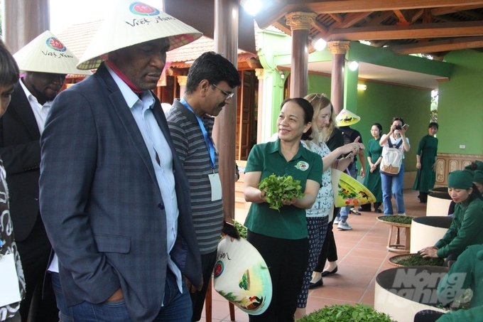 Sau khi ghé thăm và thưởng thức trà Việt tại HTX chè Hảo Đạt (xã Tân Cương, thành phố Thái Nguyên, các đại biểu đã có những giây phút thả mình vào thiên nhiên tại Khu bảo tồn làng nhà sàn dân tộc sinh thái Thái Hải, nơi được Tổ chức Du lịch thế giới (UNWTO) trao Giải thưởng 'Làng du lịch tốt nhất thế giới năm 2022'.