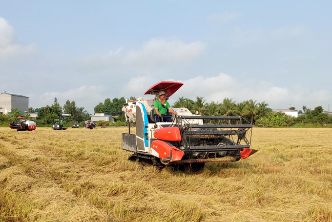 Các tỉnh phía Nam vừa trải qua một vụ đông xuân được mùa, được giá. Ảnh: Sơn Trang.