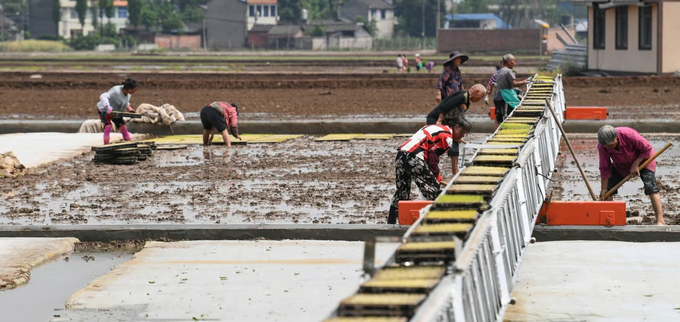 President Xi Jinping has previously called for ‘Chinese people to hold the rice bowl in their own hands’, while in March, new Premier Li Qiang encouraged farmers to grow more crops to ensure Chinese ‘hold their bowls in their own hands’. Photo: Xinhua