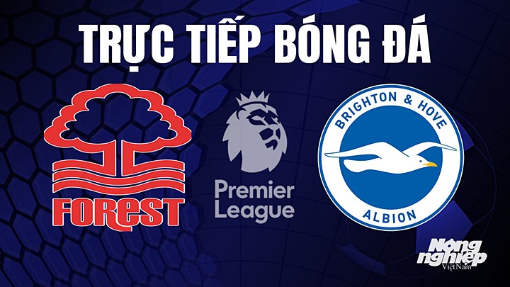 Trực tiếp bóng đá Ngoại hạng Anh giữa Nottingham Forest vs Brighton hôm nay 27/4/2023