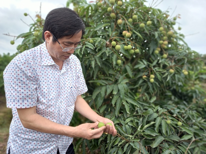 Huyện Thanh Hà hiện đã có 168 mã số vùng trồng được cấp để phục vụ xuất khẩu sang nhiều thị trường. Ảnh: TL.