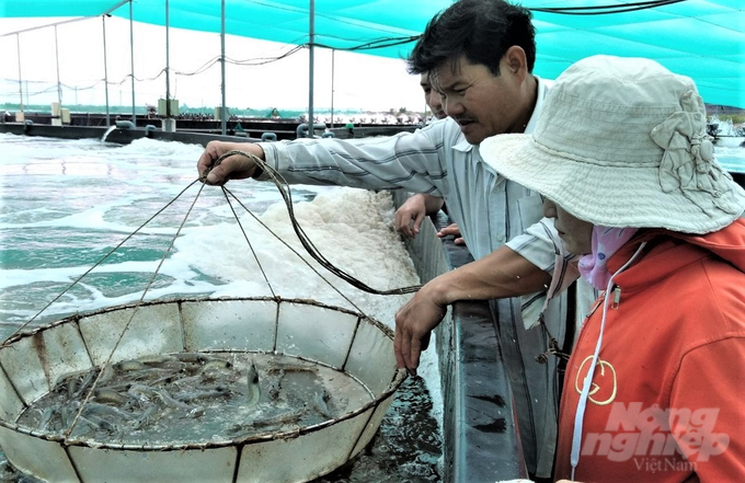 Các cơ sở sản xuất kinh doanh, nhất là các cơ sở nuôi tôm công nghiệp trên địa bàn huyện Kiên Lương luôn có ý thức bảo vệ tốt môi trường, phát triển sản xuất bền vững. Ảnh: Trung Chánh.