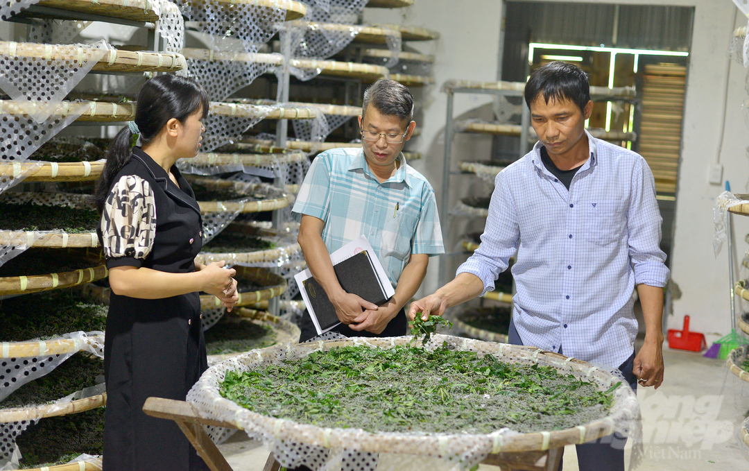Những năm qua, tỉnh Lâm Đồng đã có những thay đổi trong chỉ đạo sản xuất, đặc biệt thực hiện đề án phát triển bền vững ngành tơ tằm. Ảnh: Minh Quý.