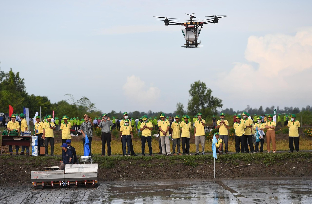 Áp dụng drone trong canh tác lúa tại khu vực ĐBSCL. Ảnh: IRRI.