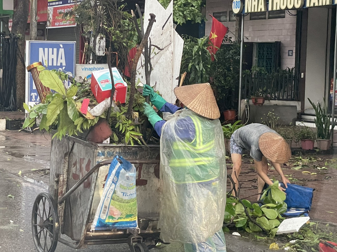 Công nhân vệ sinh được tăng cường để dọn dẹp cây đổ và rác thải sau cơn mưa.