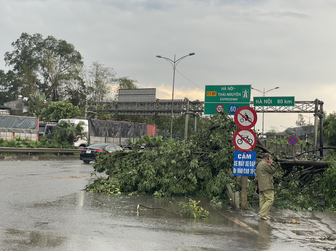 Tại lối vào cao tốc Hà Nội - Thái nguyên, nút giao Tân Long, cây lớn đổ chắn 1 phần đường.